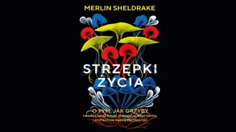 strzępki życia okładka