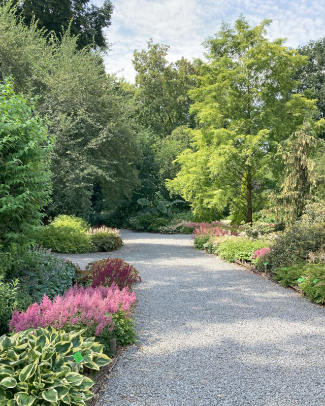 Arboretum Wojsławice ścieżka